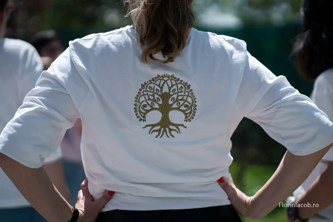 broderie pe spatele unui tricou